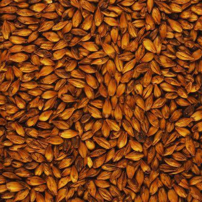 The Transformation of Barley: What Happens During Malting?