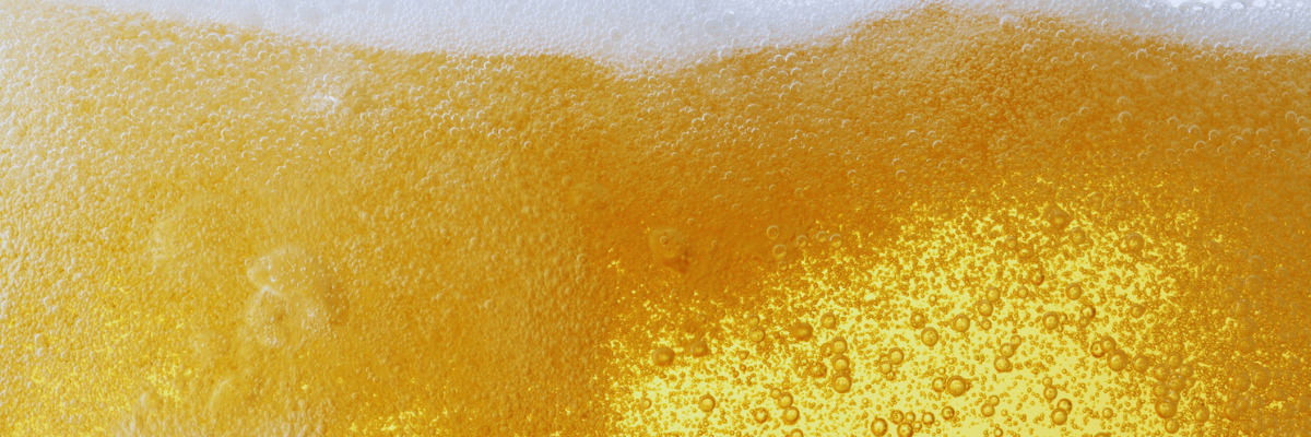 How to Choose the Best Carbonation Stone for Your Brewery